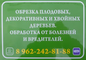 Обрезка деревьев